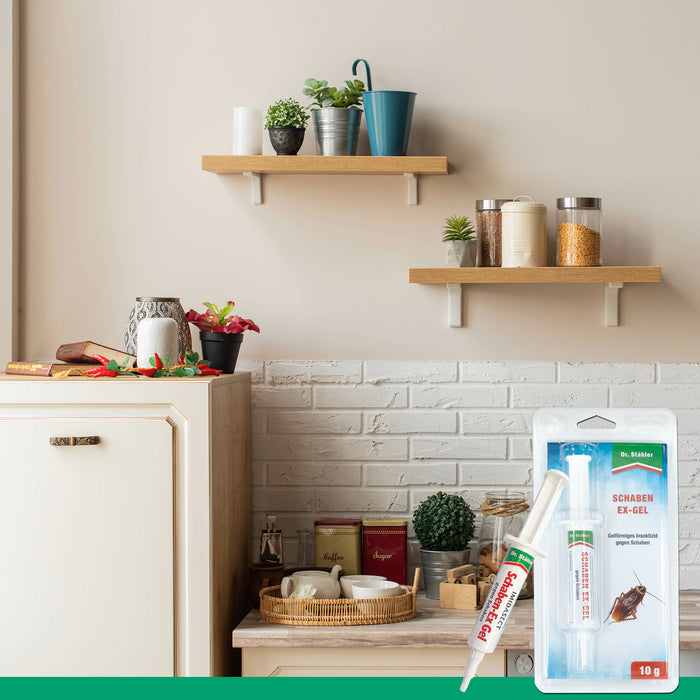 Gel anti-scarafaggi efficace contro le infestazioni di blatte | Cockroach Gek