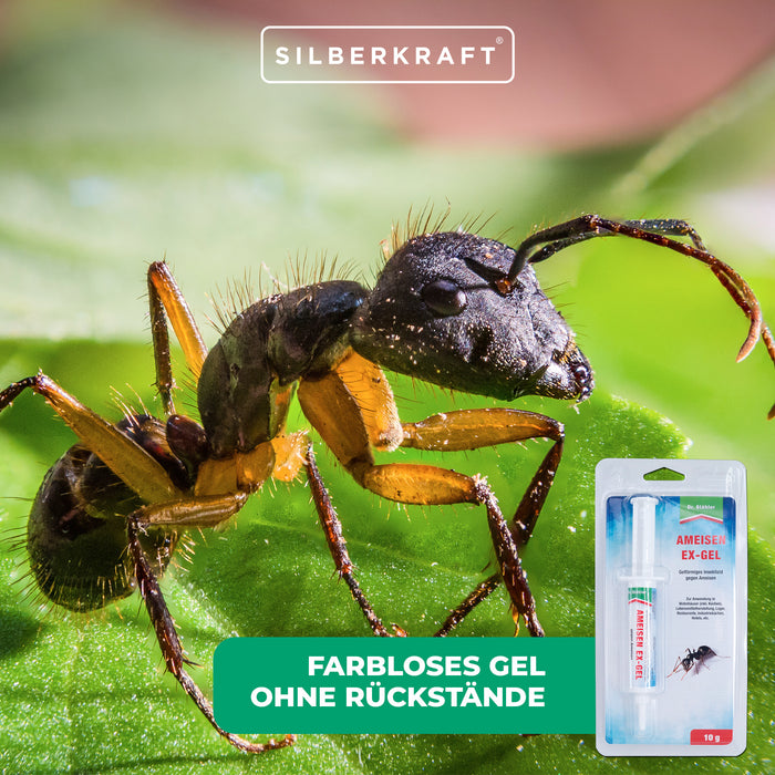 Ant-Ex Gel: soluzione immediata contro l'infestazione di formiche in ambienti interni ed esterni