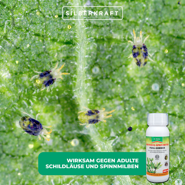 Para Sommer: spray per la crescita contro cocciniglie e ragni rossi