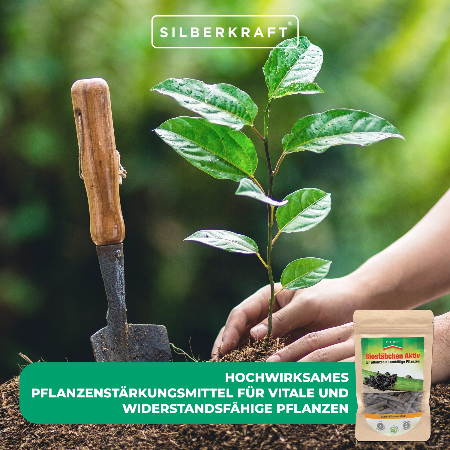 Biostäbchen Aktiv: rinforzante altamente efficace per piante vitali e resistenti