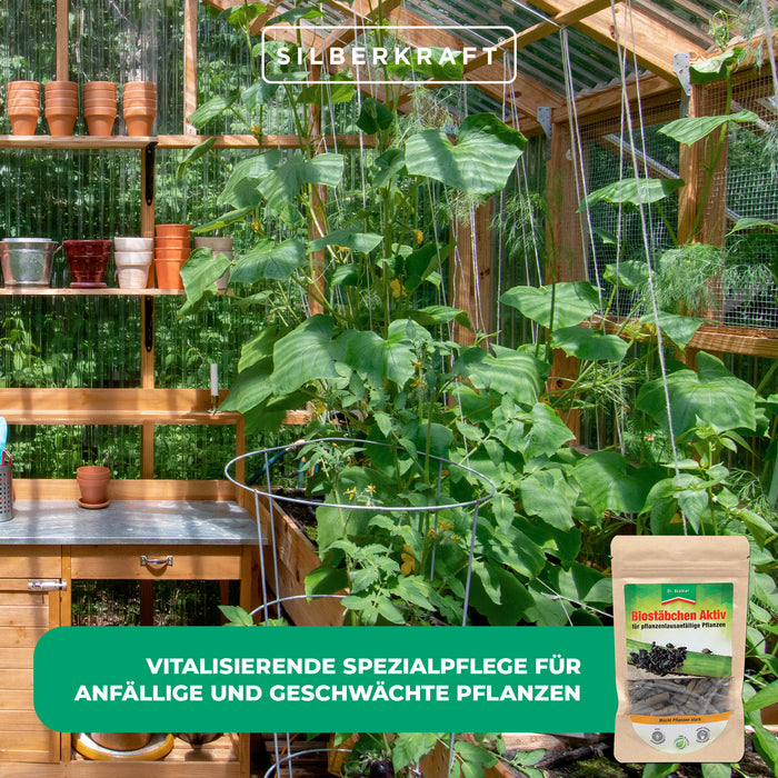 Biostäbchen Aktiv: rinforzante altamente efficace per piante vitali e resistenti