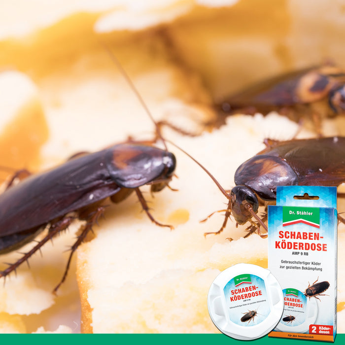 Scatola per esche per scarafaggi da interno contro la blatta tedesca, la blatta comune e la blatta americana