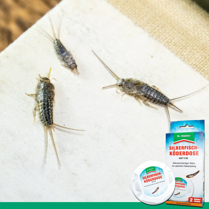 Efficace scatola per esche per pesciolini d'argento per cucine, bagni e altri spazi interni