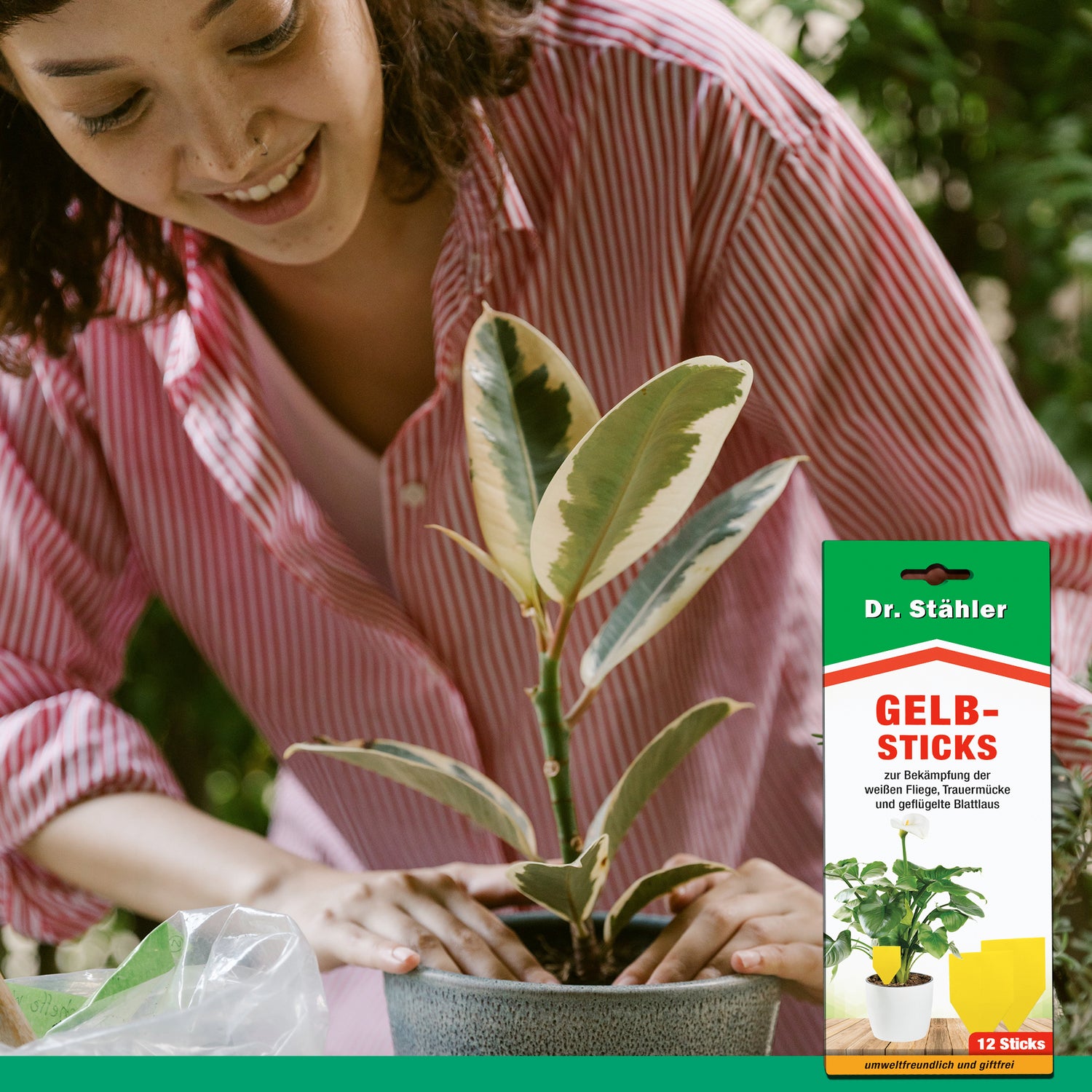 Maggiori informazioni