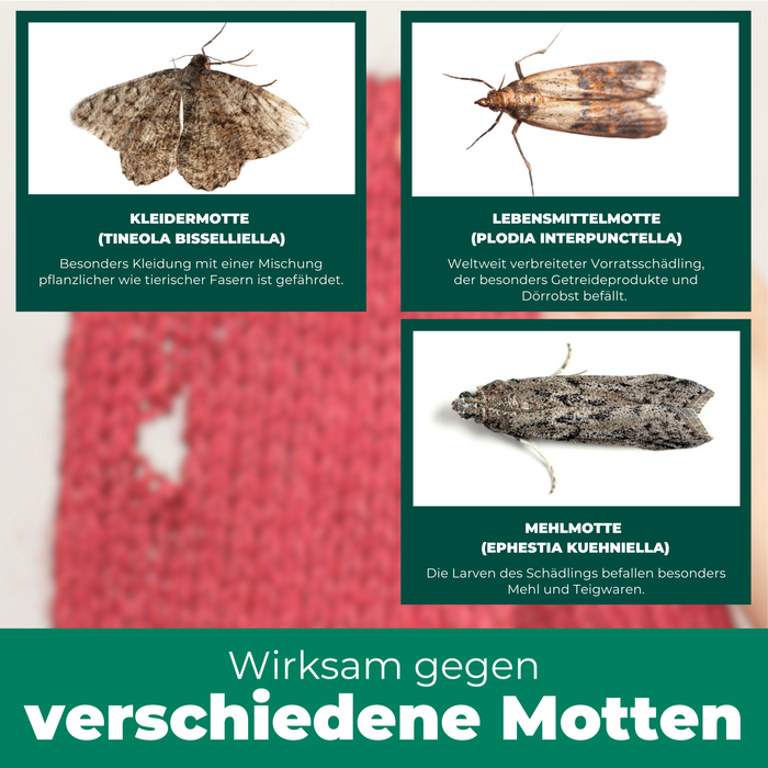 Spray antitarme contro vestiti e tarme alimentari