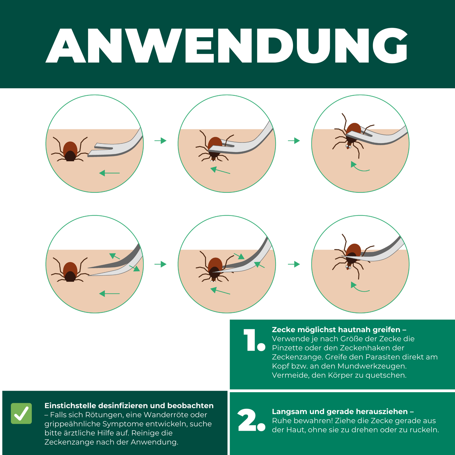 Istruzioni per l'applicazione