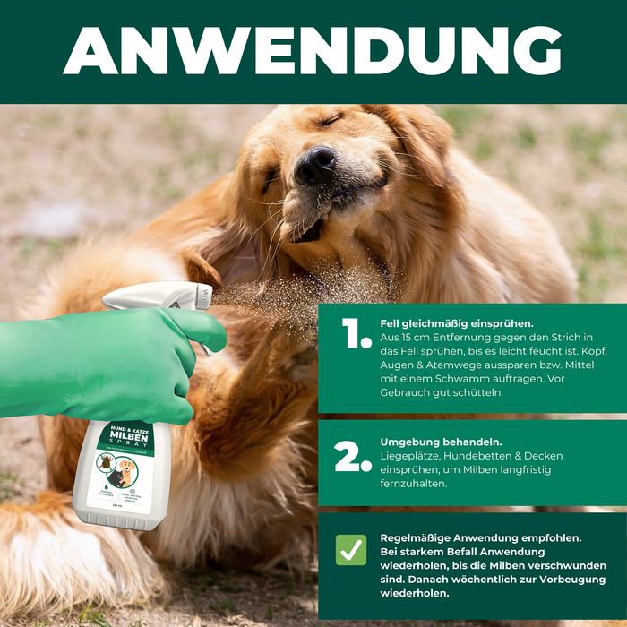 Anleitung zur Anwendung des Silberkraft Hunde Milbensprays – Sicheres Einsprühen von Fell und Umgebung für nachhaltigen Milbenschutz.