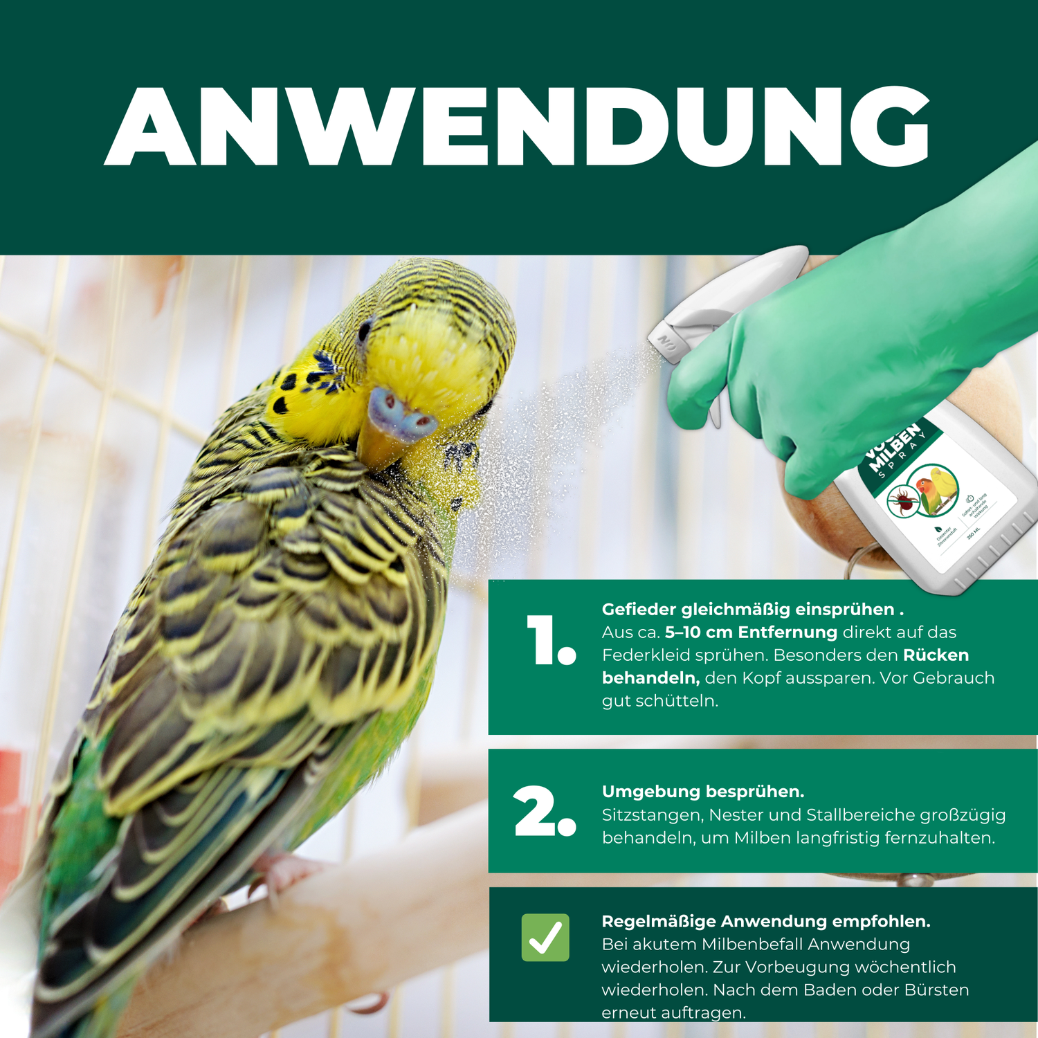 Anwendung eines Milbensprays für Ziervögel: Ein Wellensittich wird in seinem Käfig mit einem Milbenabwehr-Spray behandelt. Eine Hand mit grünen Schutzhandschuhen sprüht das Mittel gezielt auf das Gefieder. Anleitung zur Anwendung: 1. Gefieder gleichmäßig einsprühen (5-10 cm Abstand, besonders den Rücken behandeln). 2. Umgebung wie Sitzstangen und Nester besprühen. 3. Regelmäßige Anwendung zur Vorbeugung empfohlen