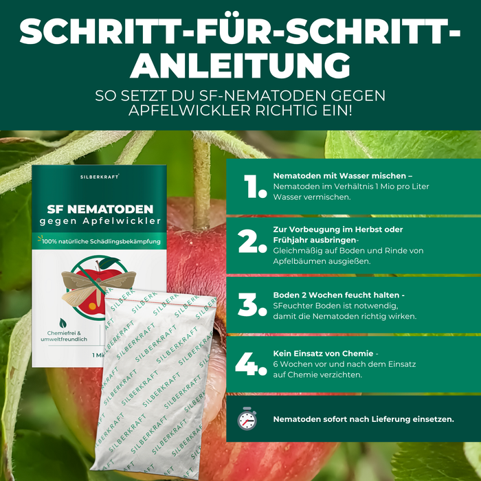 Nematodi SF contro le carpocapse