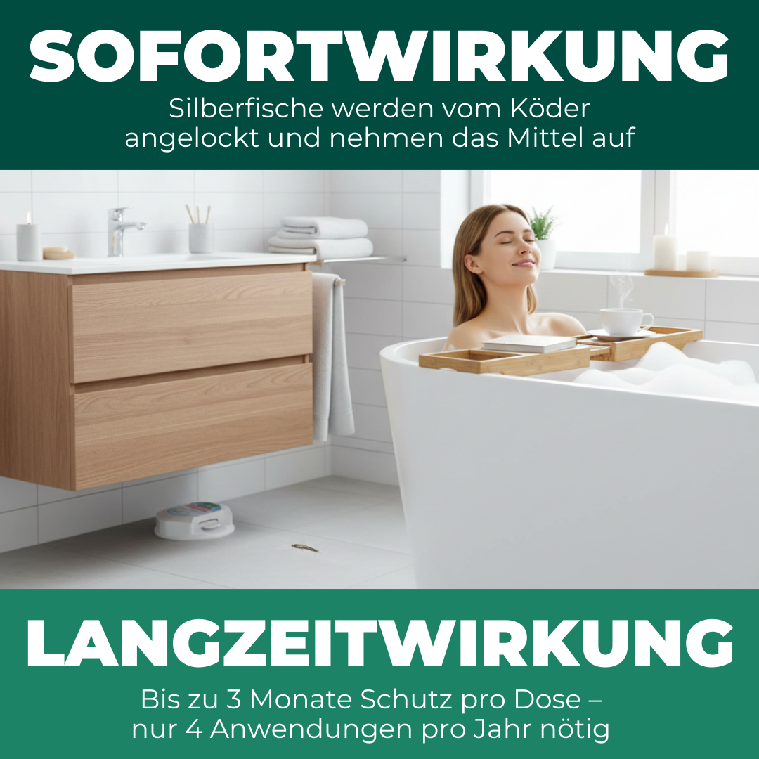 Scatola per esche per pesciolini d'argento: come tenere sotto controllo pesciolini d'argento e pesci carta in bagno, cucina e cantina