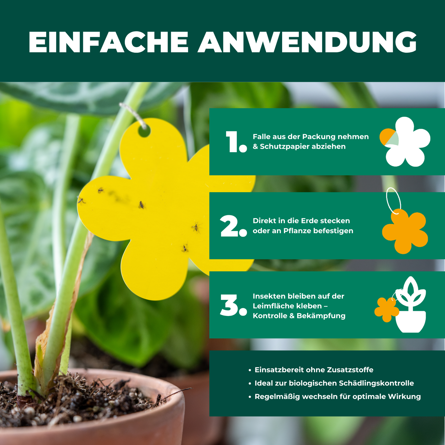 Maggiori informazioni