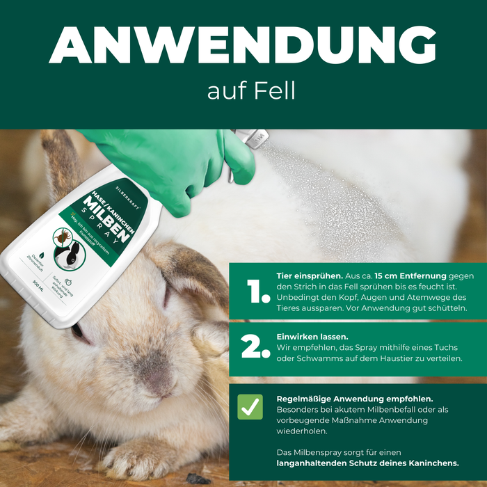 Anwendung von Milbenspray auf Kaninchenfell: Eine Hand mit grünem Handschuh sprüht Silberkraft Hasen & Kaninchen Milben Spray auf das Fell eines weißen Kaninchens. Anleitung in drei Schritten: 1. Einsprühen aus 15 cm Entfernung, Augen und Atemwege aussparen. 2. Einwirken lassen und mit Tuch oder Schwamm verteilen. 3. Regelmäßige Anwendung zur Vorbeugung oder bei akutem Milbenbefall. Das Spray bietet langanhaltenden Schutz gegen Milben.