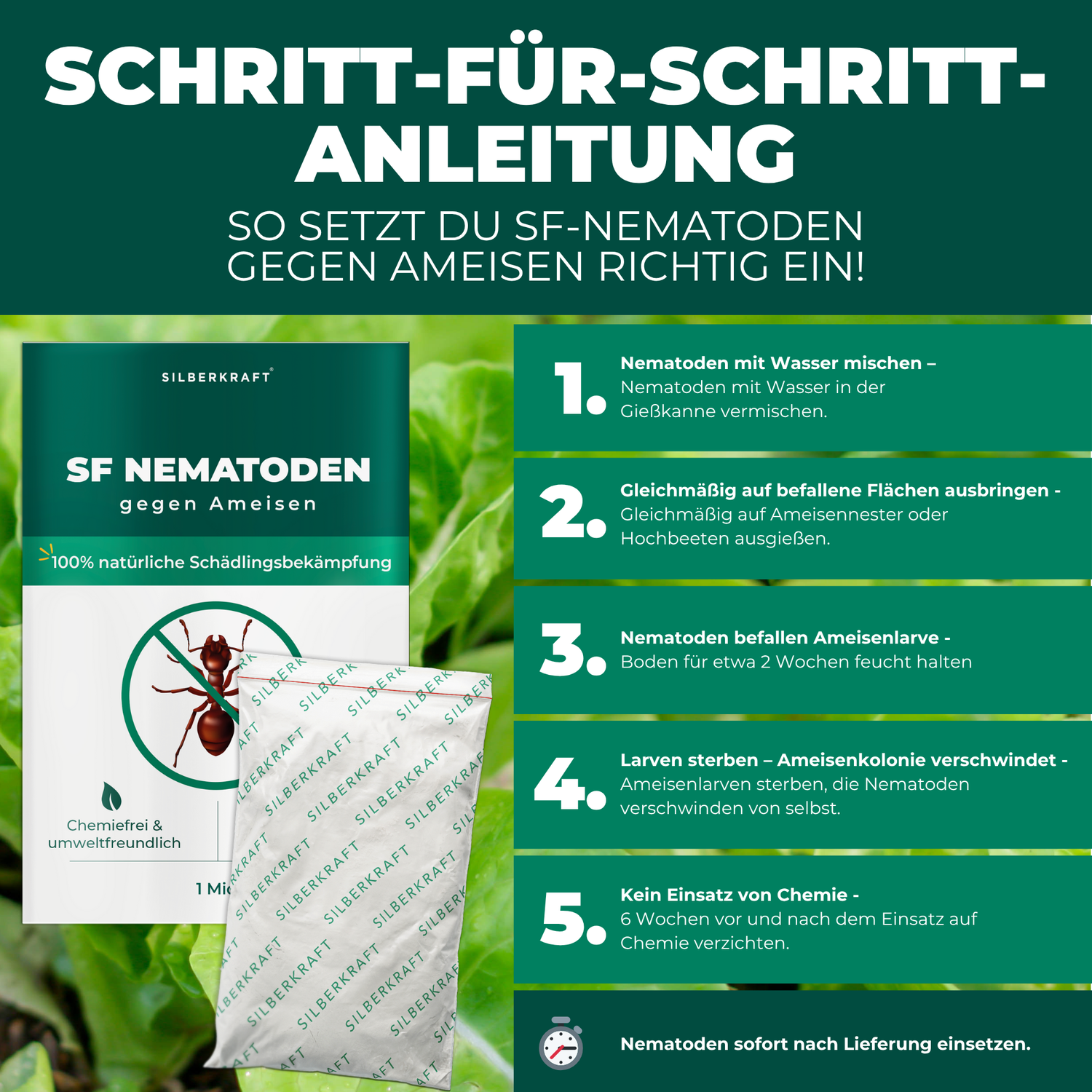 Problema e soluzione