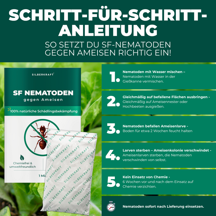 Nematodi SF contro le formiche