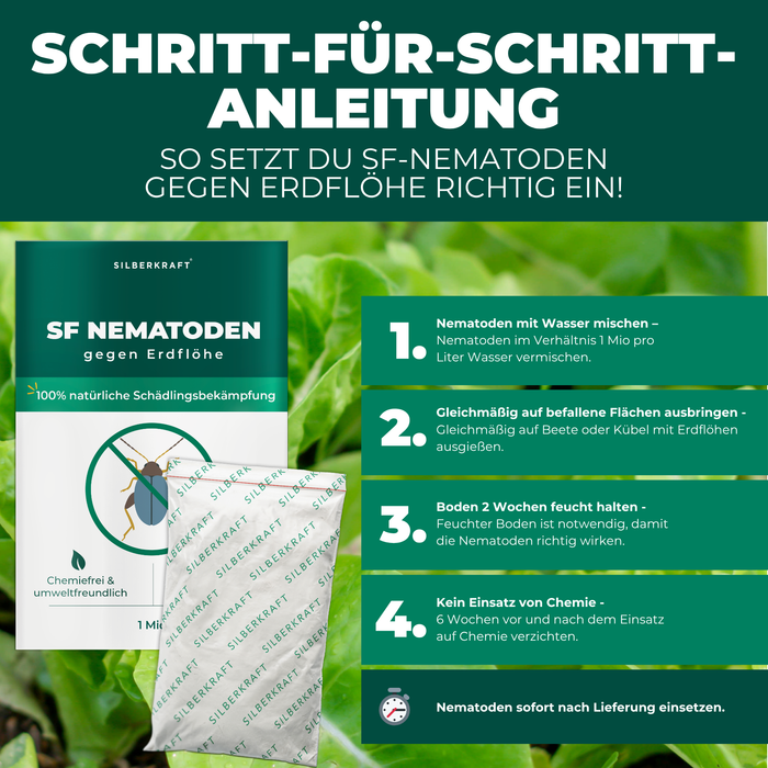 Nematodi SF contro gli alticini