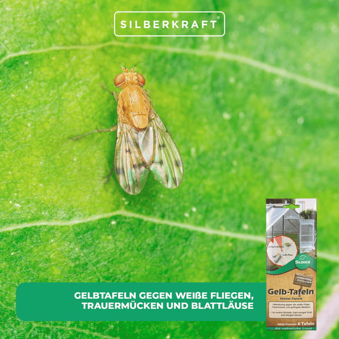 Pannelli gialli Silence (piccoli): monitoraggio ottimale contro mosche bianche, moscerini dei funghi e afidi