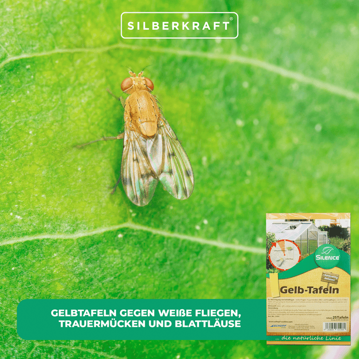 Pannelli gialli Silence (grandi): monitoraggio ottimale contro mosche bianche, moscerini dei funghi e afidi