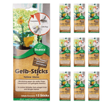 Silence Yellow Sticks: monitoraggio efficace contro mosche bianche, moscerini dei funghi e afidi - Silberkraft