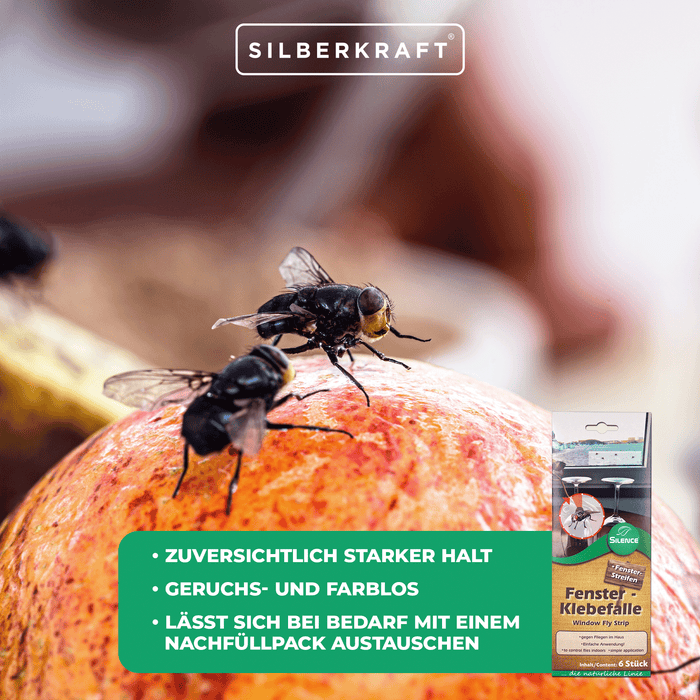 Trappola adesiva per finestre Silence: efficace trappola per mosche per finestre dall'aspetto trasparente