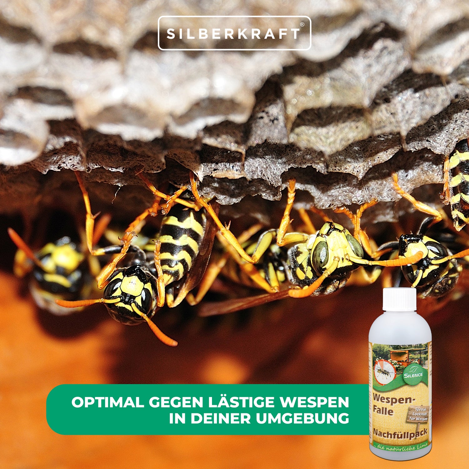 Confezione di ricarica per trappola per vespe Silence: protezione efficace contro le vespe fastidiose