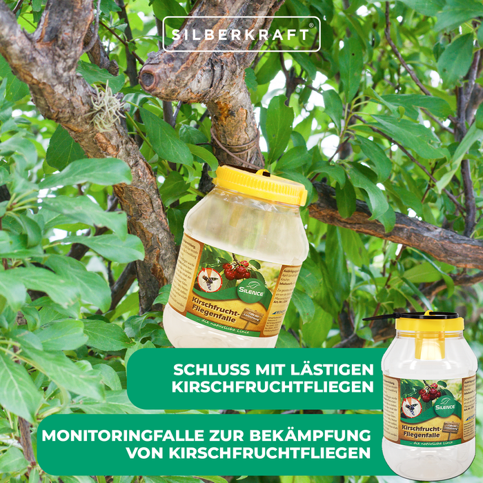 Trappola per mosche della frutta Silence: ideale per catturare le mosche della frutta