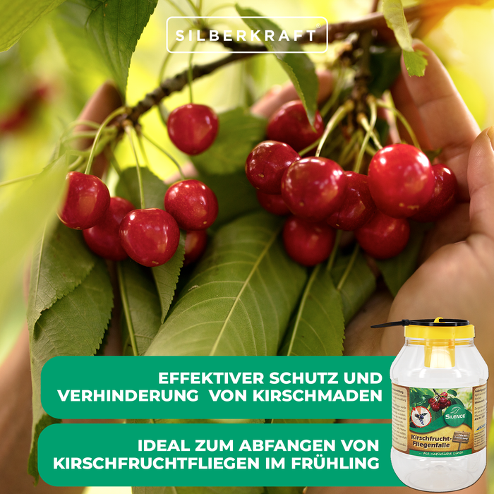 Trappola per mosche della frutta Silence: ideale per catturare le mosche della frutta