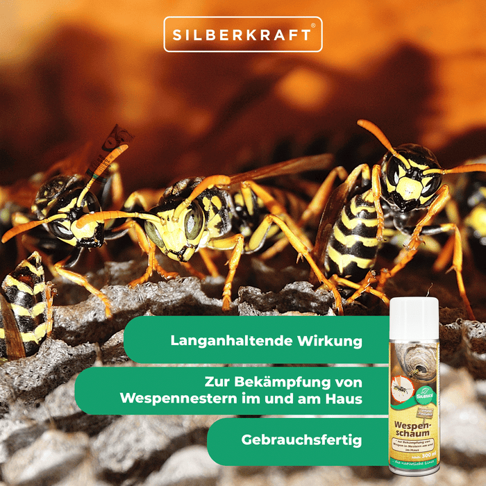 Schiuma vespe Silence: Schiuma pronta all'uso per combattere i nidi di vespe