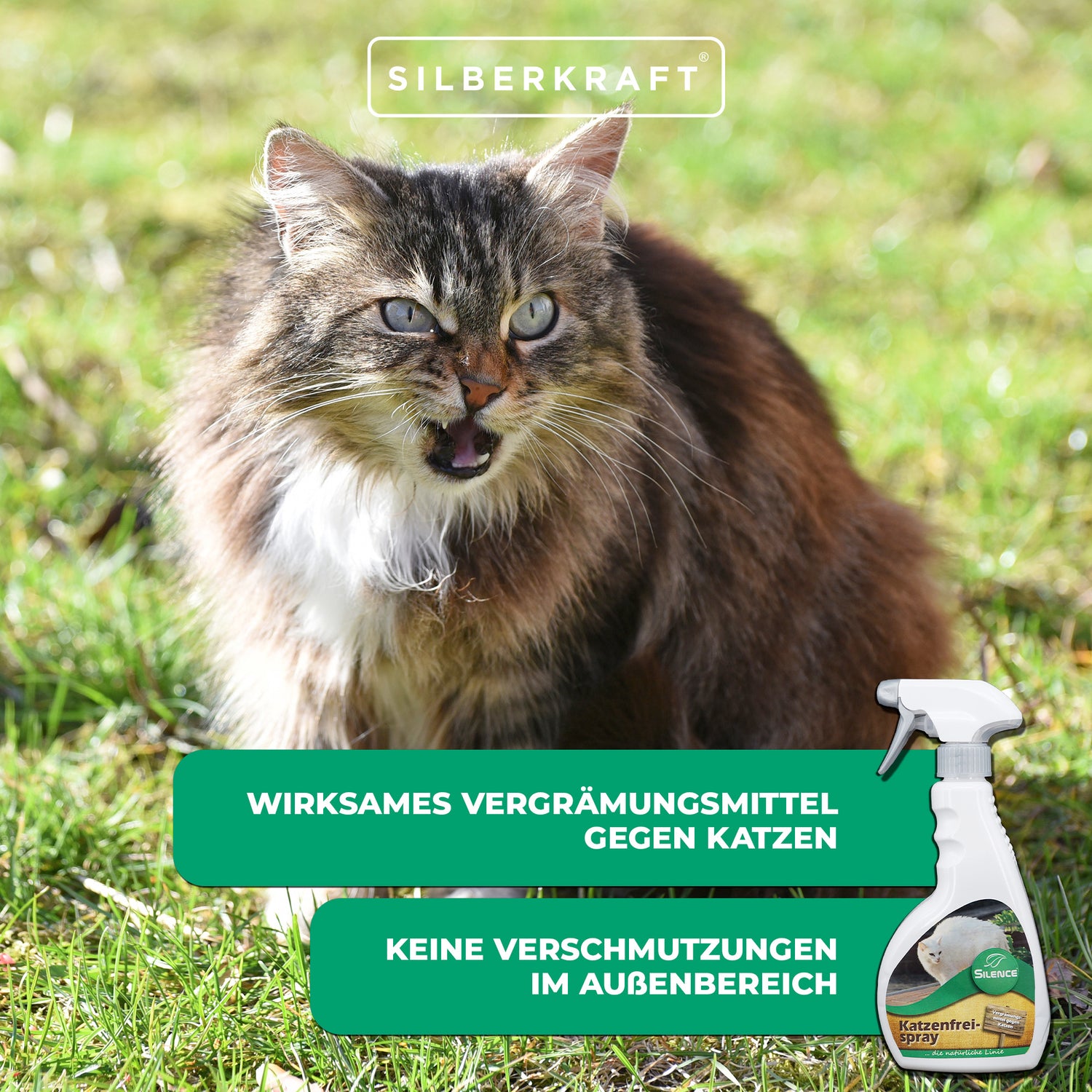 Silence Cat Free Spray: spray pronto all'uso per dissuadere i gatti