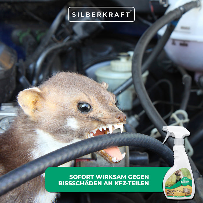 Silence Spray Senza Martore: protezione efficace contro i morsi di martora