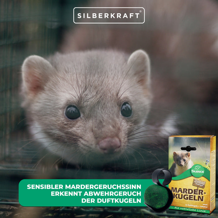 Palline profumate di martora Silence: protezione efficace a lungo termine contro i danni delle martore all'auto