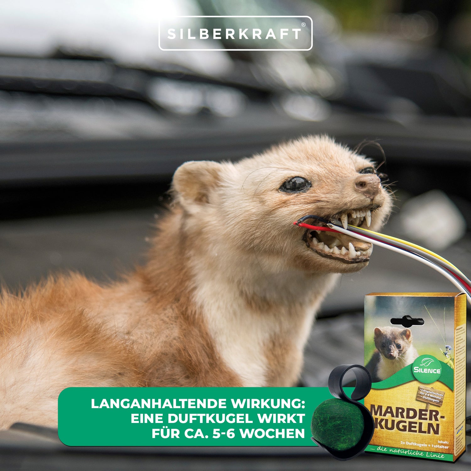 Palline profumate di martora Silence: protezione efficace a lungo termine contro i danni delle martore all'auto
