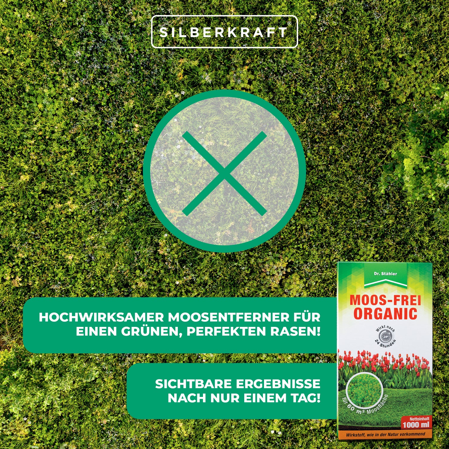 Biologico senza muschio: rimuovi muschio altamente efficace per un prato verde e perfetto