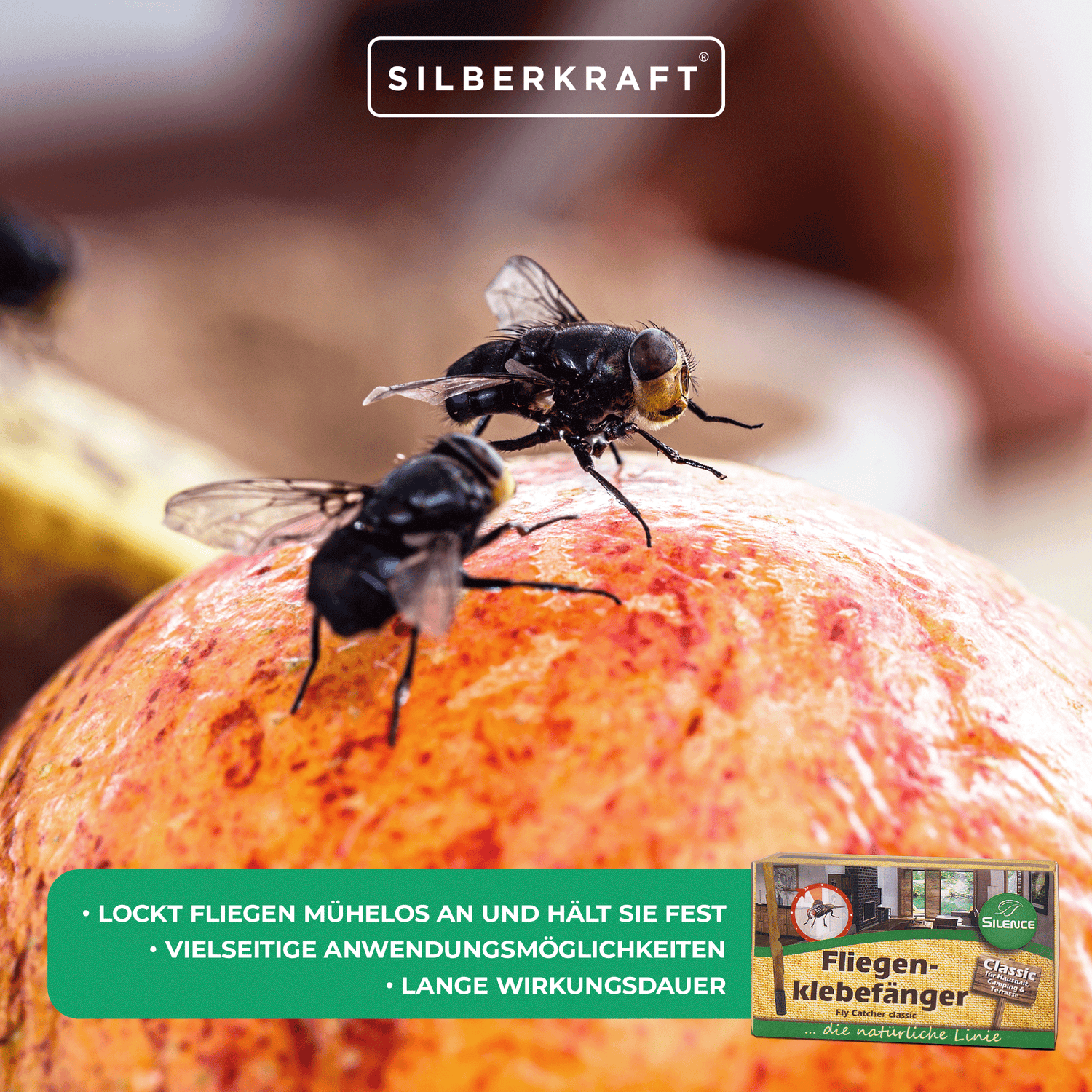 Catturamosche Silence: classico acchiappamosche con un effetto attirante unico