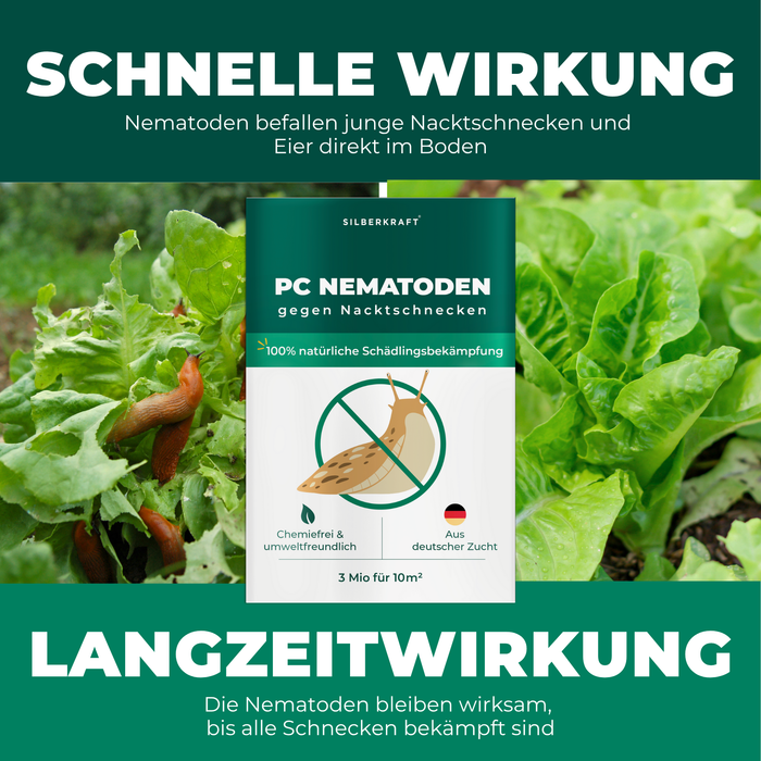 Nematodi PC contro lumache e chiocciole - Silberkraft