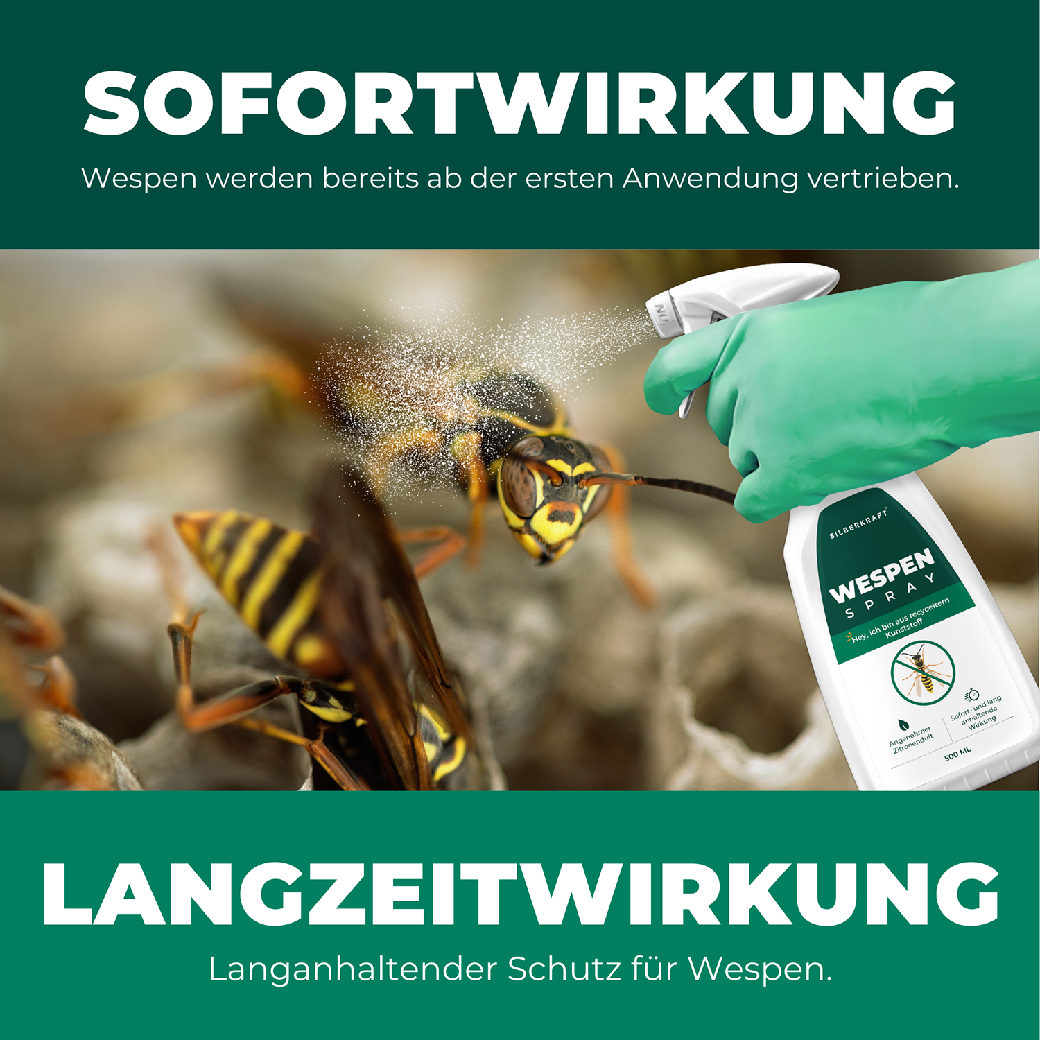 Silberkraft Wespenspray – Sofortwirkung gegen Wespen und langanhaltender Schutz, wirksame Vertreibung von Wespen direkt nach der Anwendung.