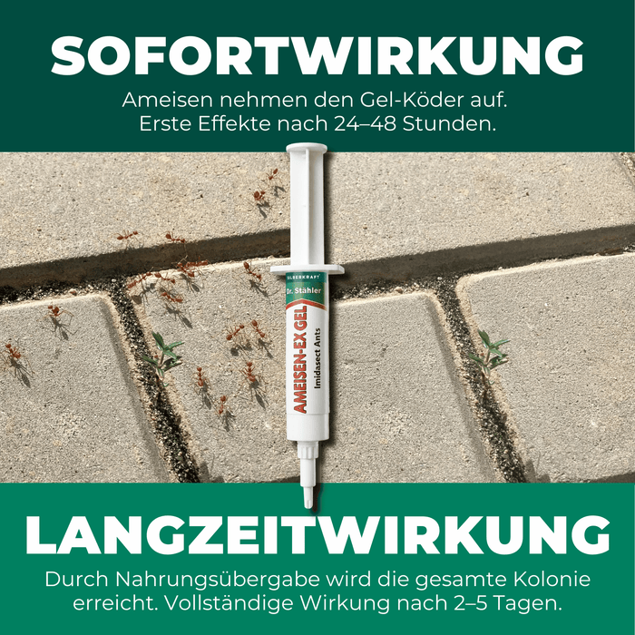 Ameisen-Ex Gel: Sofortige Lösung gegen Ameisenbefall im Innen- und Außenbereich - Silberkraft