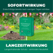 Silberkraft Wühlmaus & Maulwurf Vertreiber. Effektive Sofortwirkung und langanhaltender Schutz gegen Wühlmäuse und Maulwürfe. Biologisch abbaubare Maulwurfabwehr mit Eukalyptusöl für bis zu 33 Gangöffnungen, ideal für den Garten.