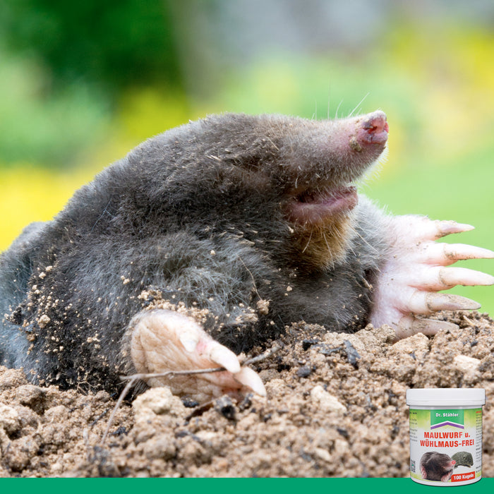 Talpa e arvicola liberate: espulsione avvenuta con successo