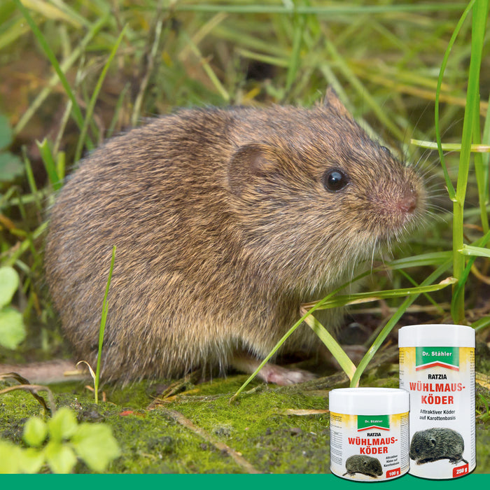 Esca per arvicole Ratzia: Efficace esca per arvicole a base di carote