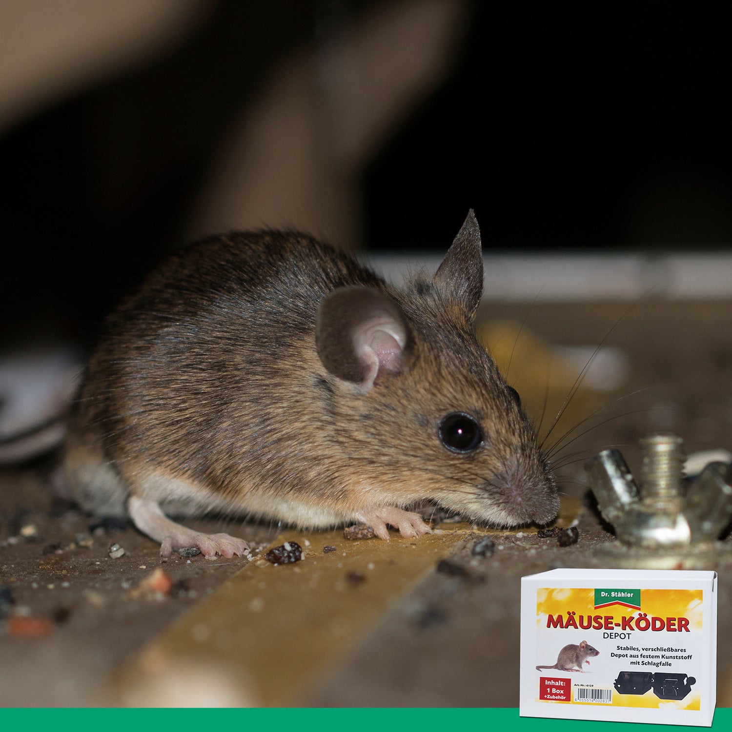 Deposito esche per topi con trappola a scatto per casa e giardino
