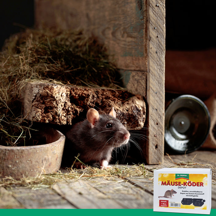 Deposito esche per topi con trappola a scatto per casa e giardino