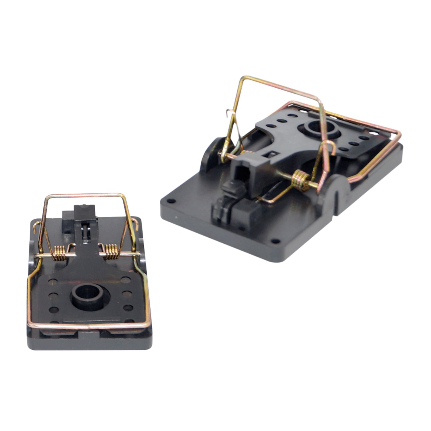 Maggiori informazioni