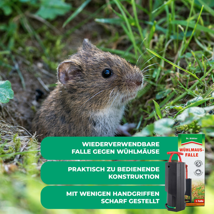 Trappola per arvicole: protezione ottimale contro le arvicole per il tuo giardino (riutilizzabile)