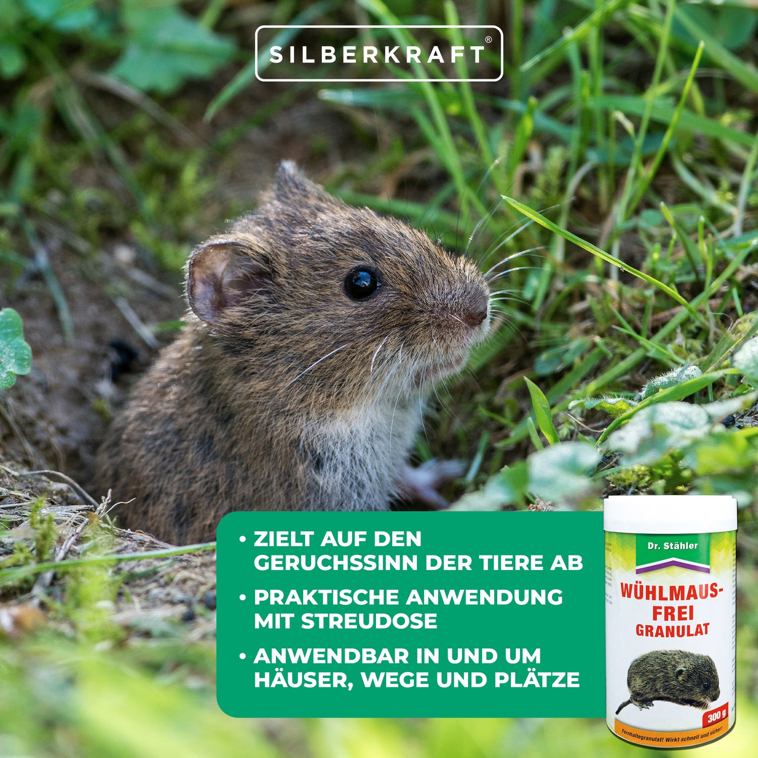 Granuli efficaci senza arvicole: protezione immediata contro le arvicole dentro e intorno alle case