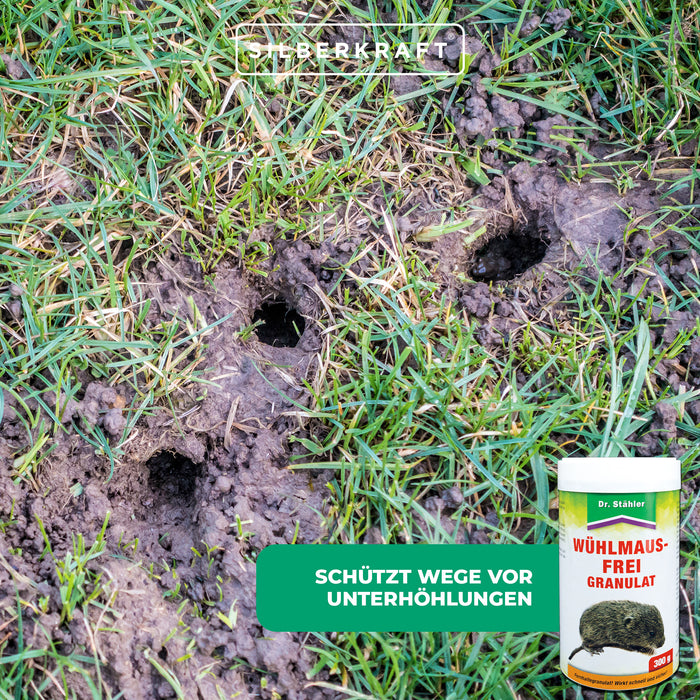 Granuli efficaci senza arvicole: protezione immediata contro le arvicole dentro e intorno alle case