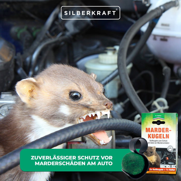 Protezione efficace contro i danni delle martore: palline profumate di martora per la vostra auto