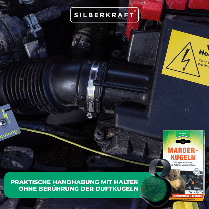 Protezione efficace contro i danni delle martore: palline profumate di martora per la vostra auto