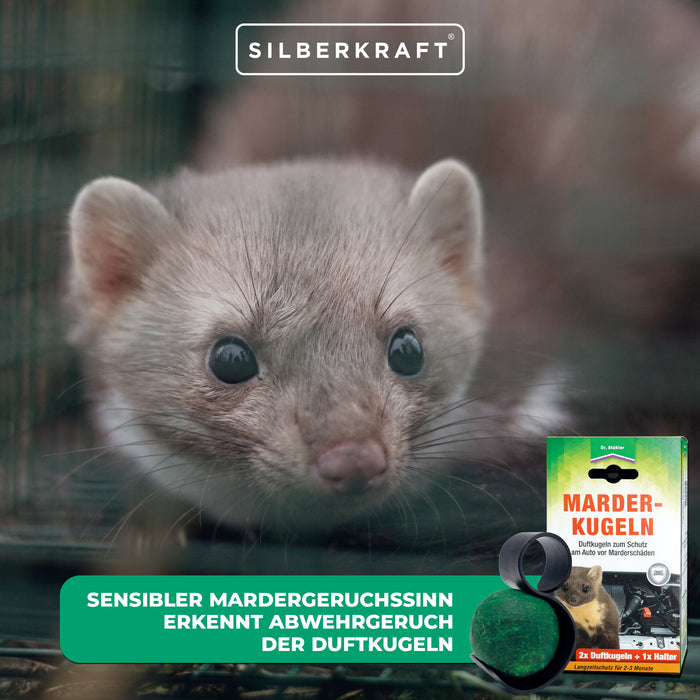 Protezione efficace contro i danni delle martore: palline profumate di martora per la vostra auto