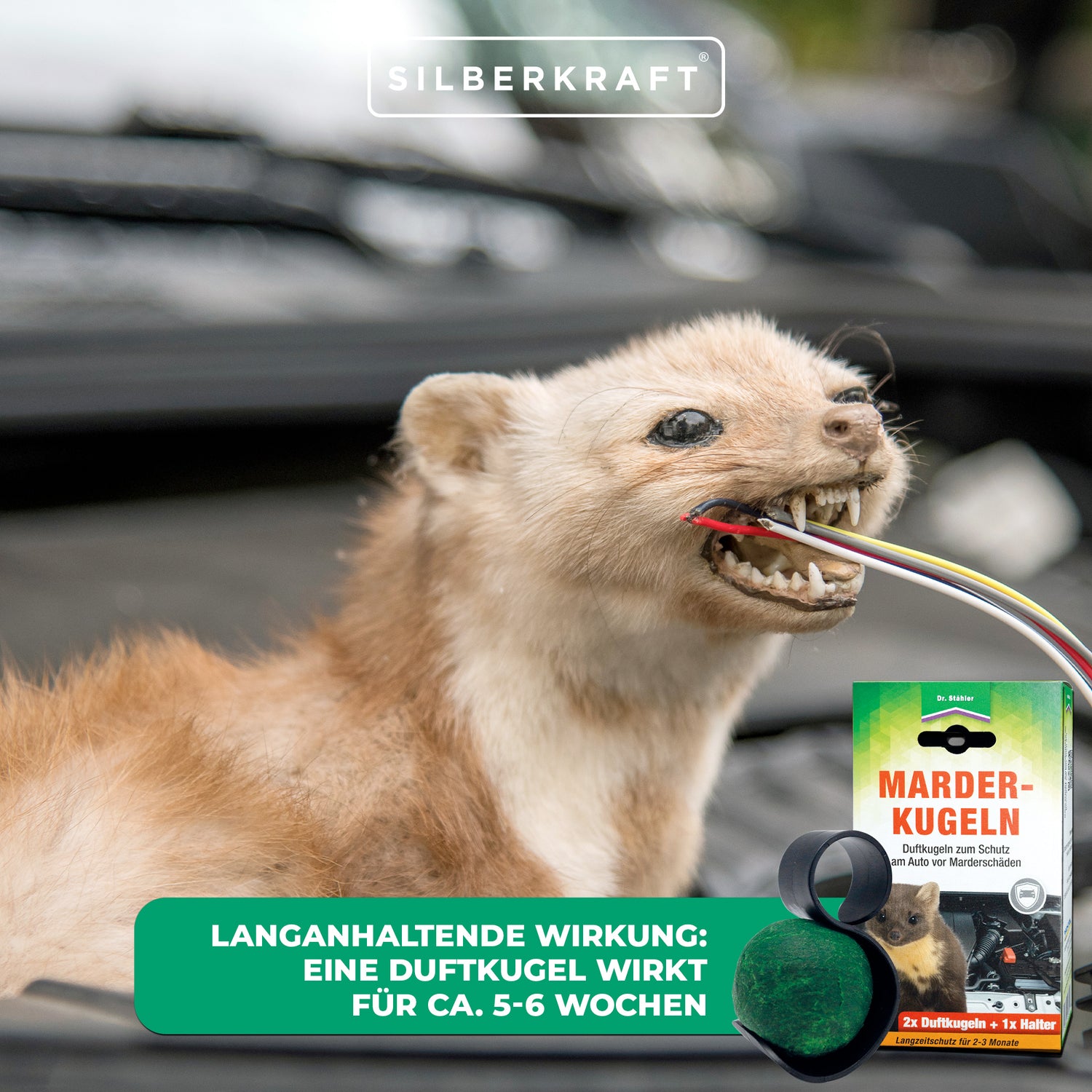Protezione efficace contro i danni delle martore: palline profumate di martora per la vostra auto