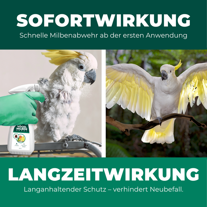 Sofort- und Langzeitwirkung eines Milbensprays für Vögel: Links – ein weißer Kakadu wird mit einem Milbenmittel eingesprüht, eine Hand mit grünem Handschuh hält die Sprühflasche. Rechts – gesunder Kakadu mit ausgebreiteten Flügeln sitzt auf einem Ast. Text betont schnelle Milbenabwehr ab der ersten Anwendung und langanhaltenden Schutz gegen Neubefall.